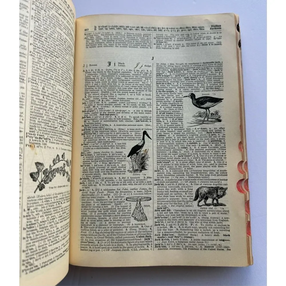 1926 Vintage‎ Antique XLTabbed & Illustrated Funk Wagnalls Dictionary Book